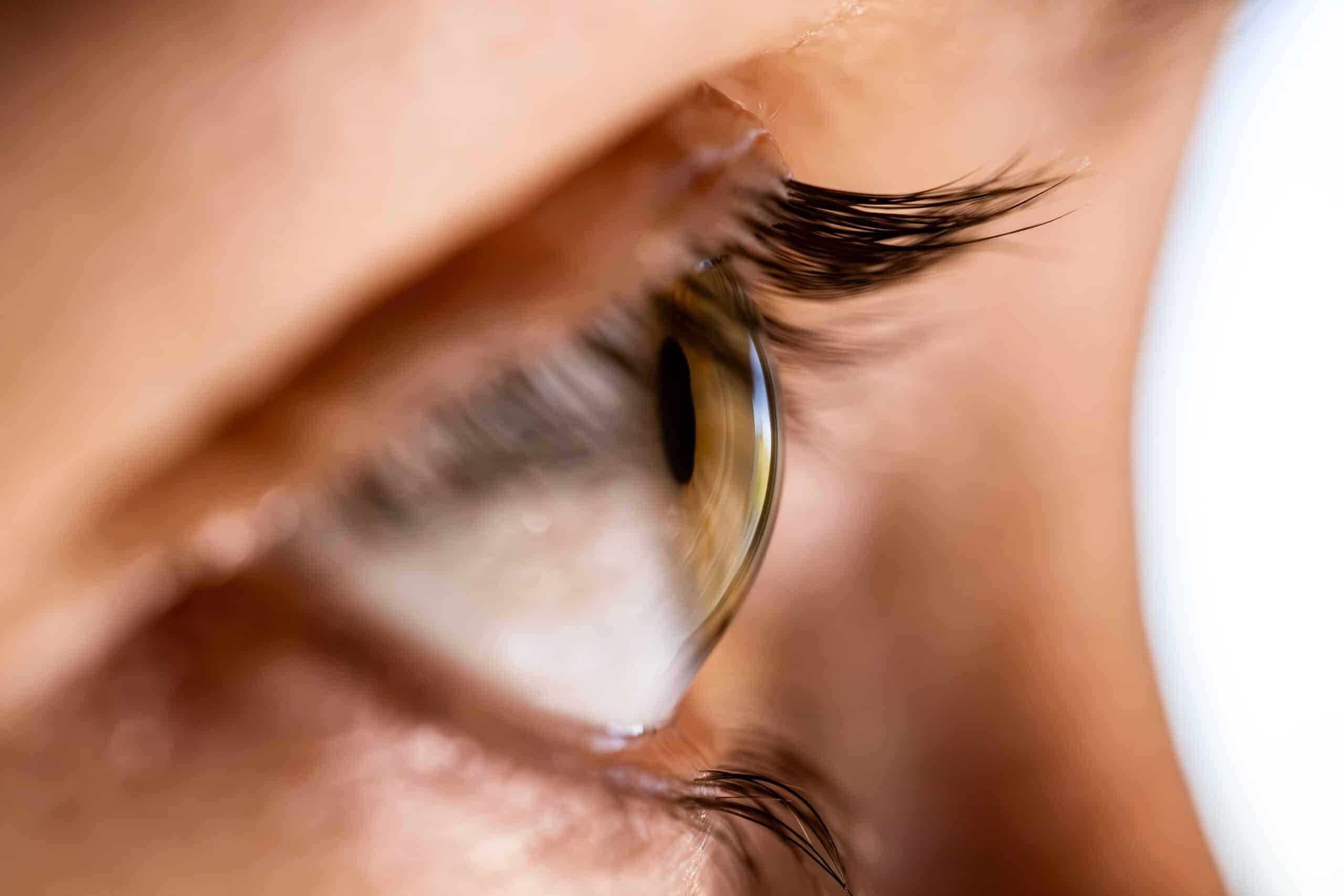Macro view of an eye, cornea and eyelashes